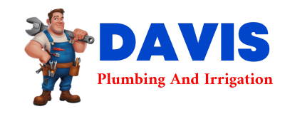 Trusted plumber in CURTISVILLE